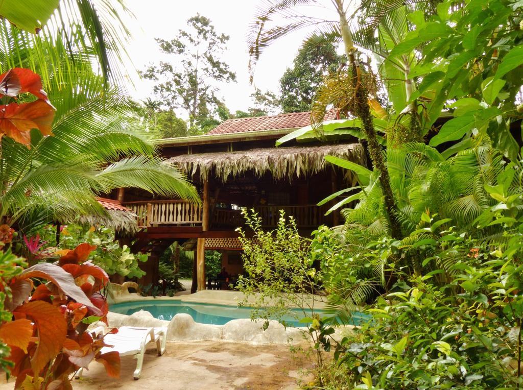 Caribe Town Bungalows Puerto Viejo de Talamanca Екстер'єр фото