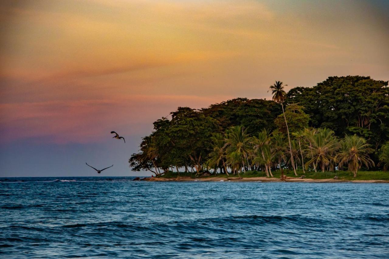 Caribe Town Bungalows Puerto Viejo de Talamanca Екстер'єр фото