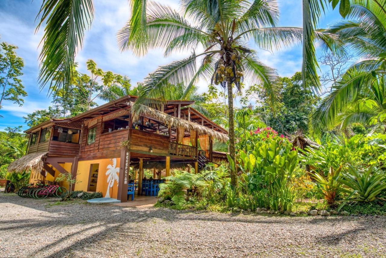 Caribe Town Bungalows Puerto Viejo de Talamanca Екстер'єр фото