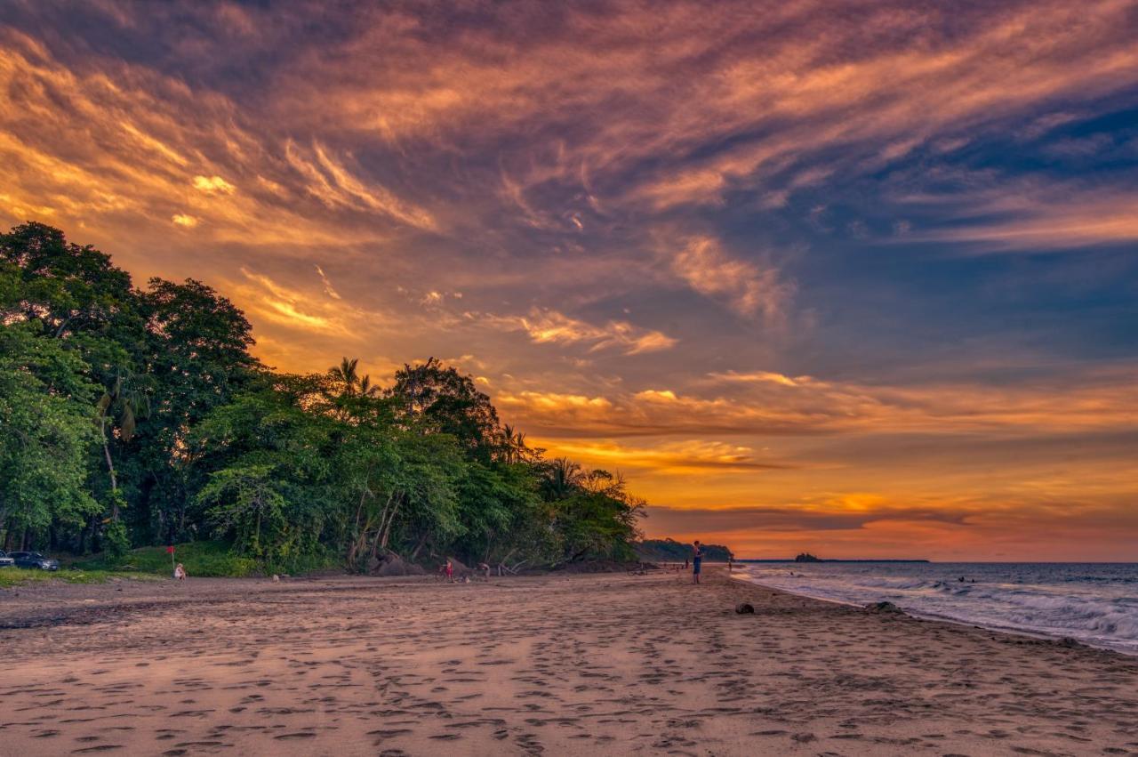 Caribe Town Bungalows Puerto Viejo de Talamanca Екстер'єр фото